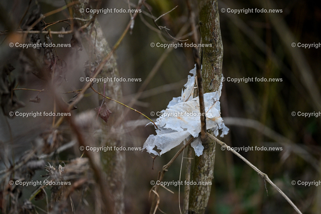 Muell_ Mist_ 11.12.2024-9 | 11.12.2024, Linz, AUT, Muell, Mist, im Bild Unachtsam weggeworfener Muell im Wald, Augebiet, Abfall, Gift, Straeucher, Gebuesch, Weg, Plastik, Plastikmuell