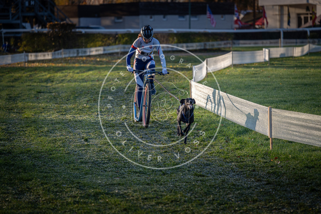 CaniXpix_0L8A2182 | Hundefotografie, Tierfotograf, Pfotenfotografie, Fotoshooting Hund, Hunde Portrait, Hundesport, Hundeportraits, Heideshooting, Hunde, Sportfotograf, Hundefotograf, Turnierhundsport, THS,  - Realisiert mit Pictrs.com
