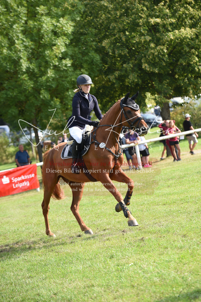 DSC_8822 | Pferde- und Turnierfotografie in Westsachsen. Pferdeportraits, Auftragszeichnungen und intuitive Kunst.
