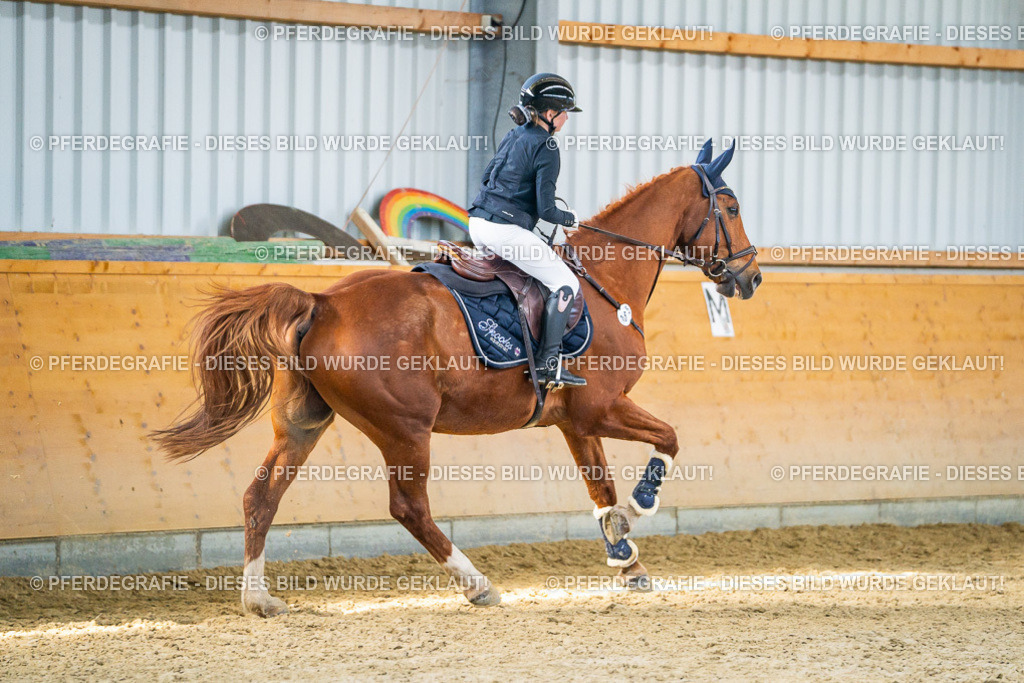 DSC01302 | Pferdegrafie