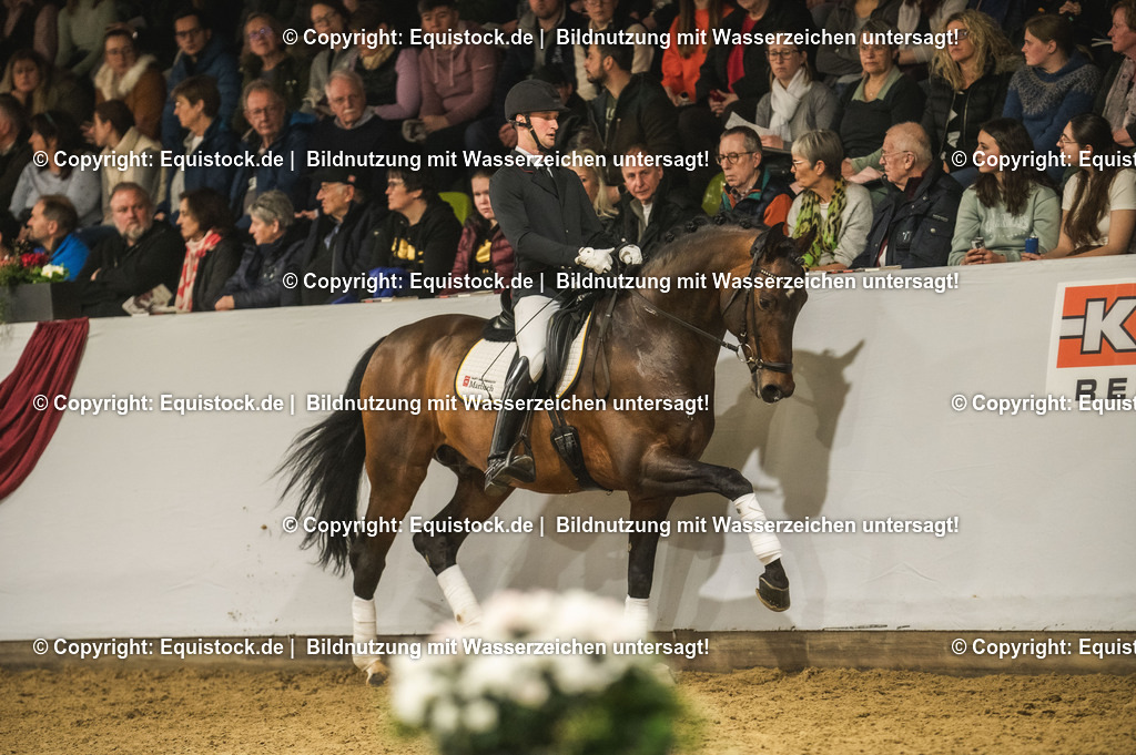 20240302_Hengstvorstellung_Marbach_TOMsPiC_1252 | equistock