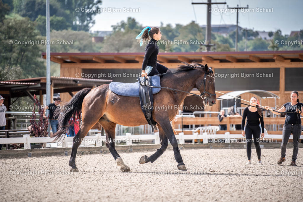 KBB09785 | BS-foto