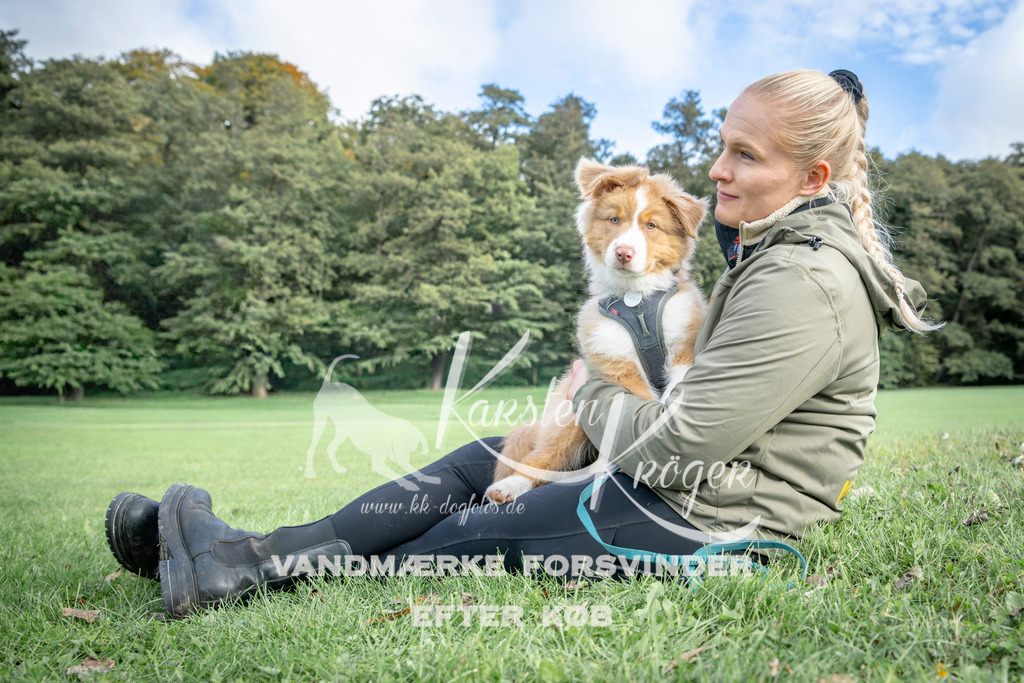 1222_ZZ91240-2 | kk-dogfotos