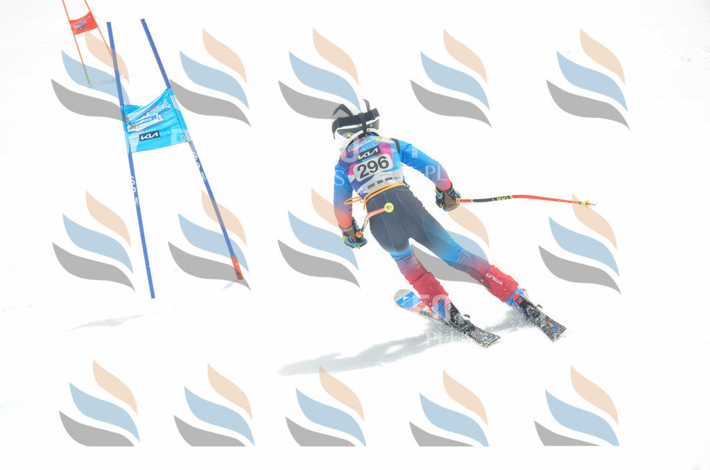 _ELE8184 | holidayphoto