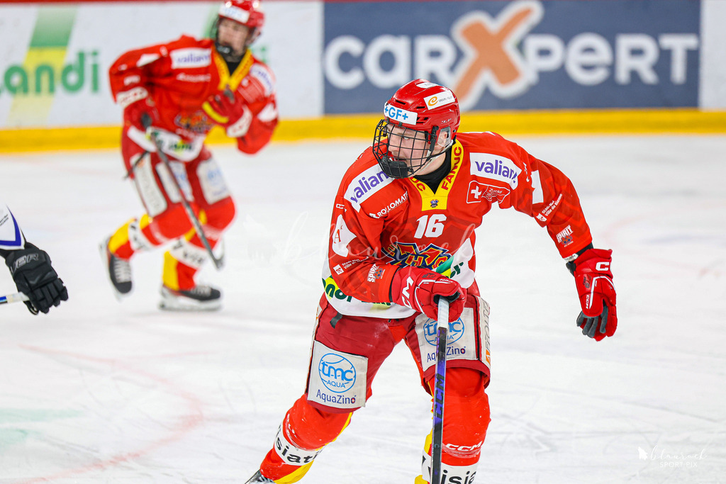 EHCB Spirit vs HCFG_wb-7387 | Sportbilder, Sportfotograf, Hochzeits- und Eventfotografin, Flugshows, Portraits und Tiershooting, Aviation, Downhill, Nationalleague, Swissleague, International