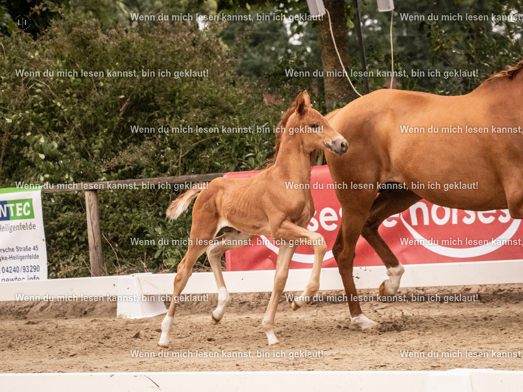 A10I4844 | photographylinaismer - Realisiert mit Pictrs.com