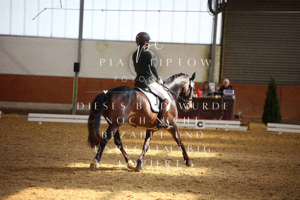 IMGT5250 | pl-fotografie