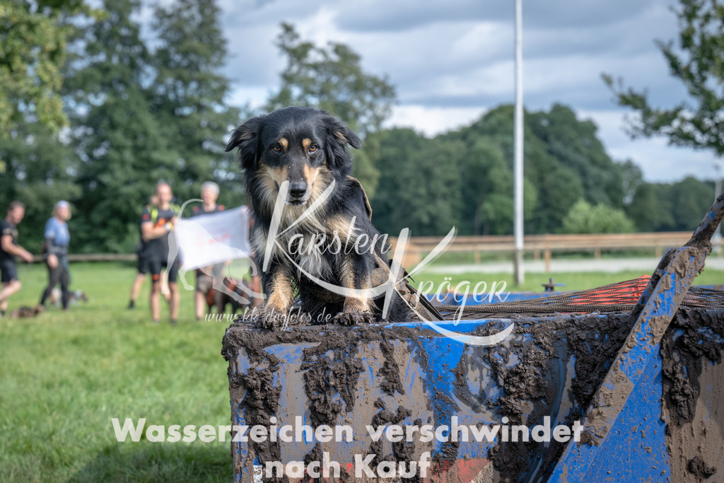 1411_ZZ91173 | kk-dogfotos