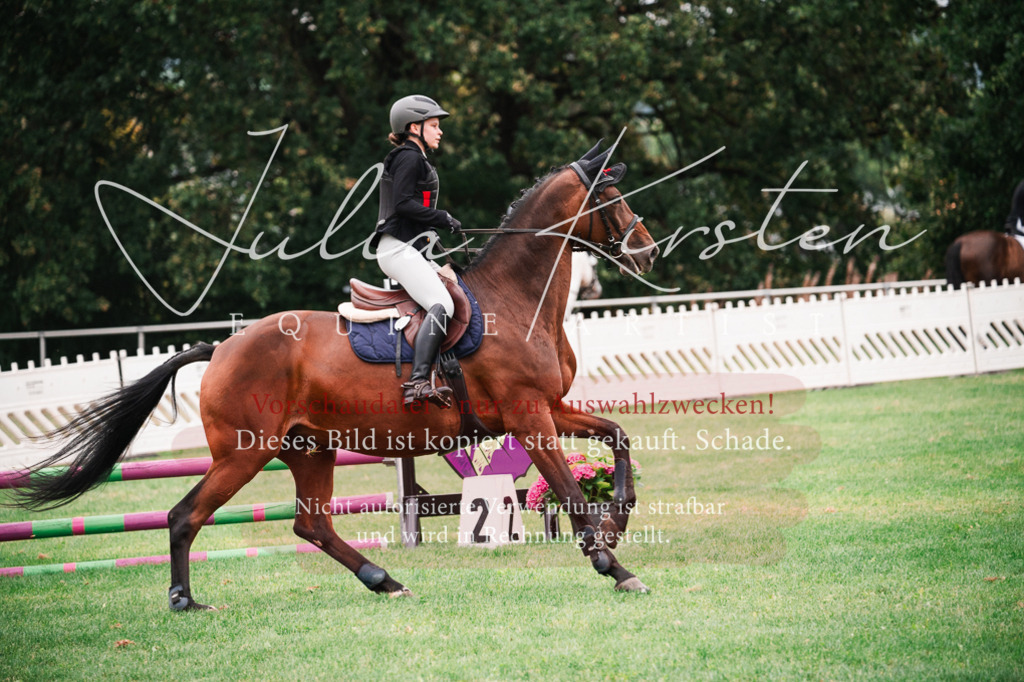 DSC_5816 | Pferde- und Turnierfotografie in Westsachsen. Pferdeportraits, Auftragszeichnungen und intuitive Kunst.