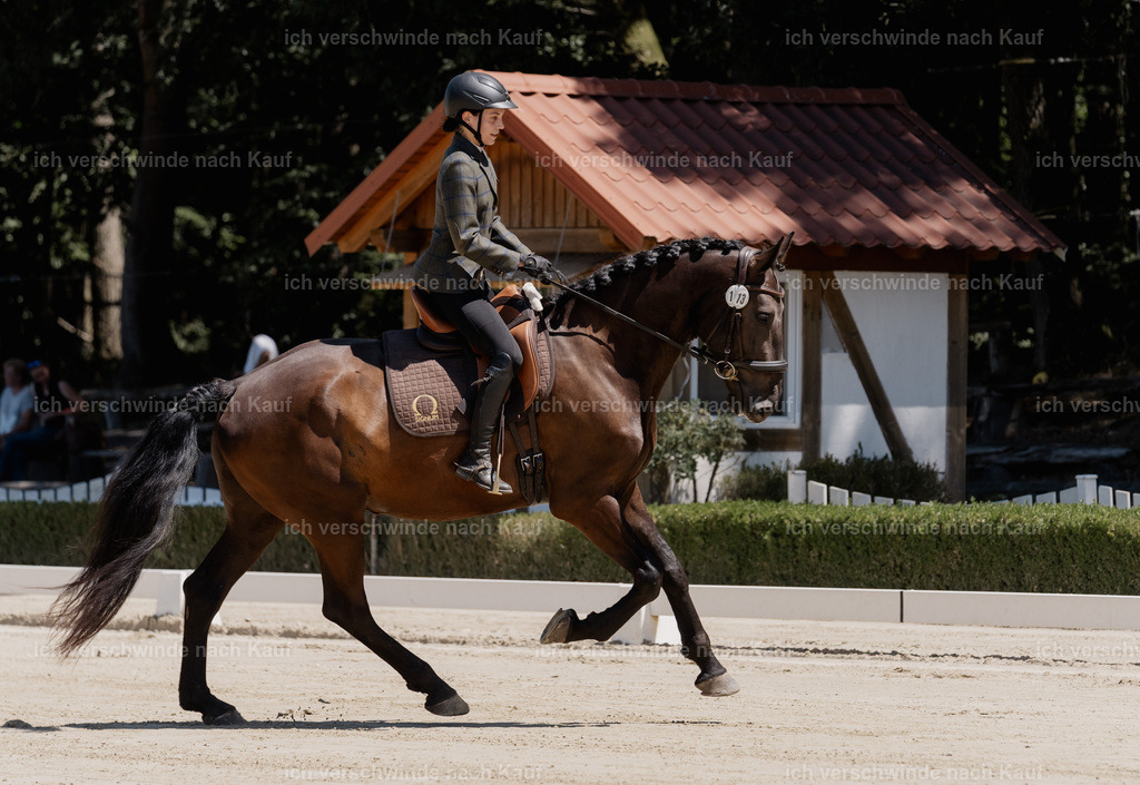 WE_DR_113_SinaFilmArt_IN02886 | working equitationturnier fotograf videograf stoibphotography marixx film working equitation deutschland reitsport turnierfotografie eventfotografie equestrian events