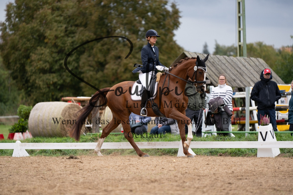 A7V05480 | Pferdefotograf