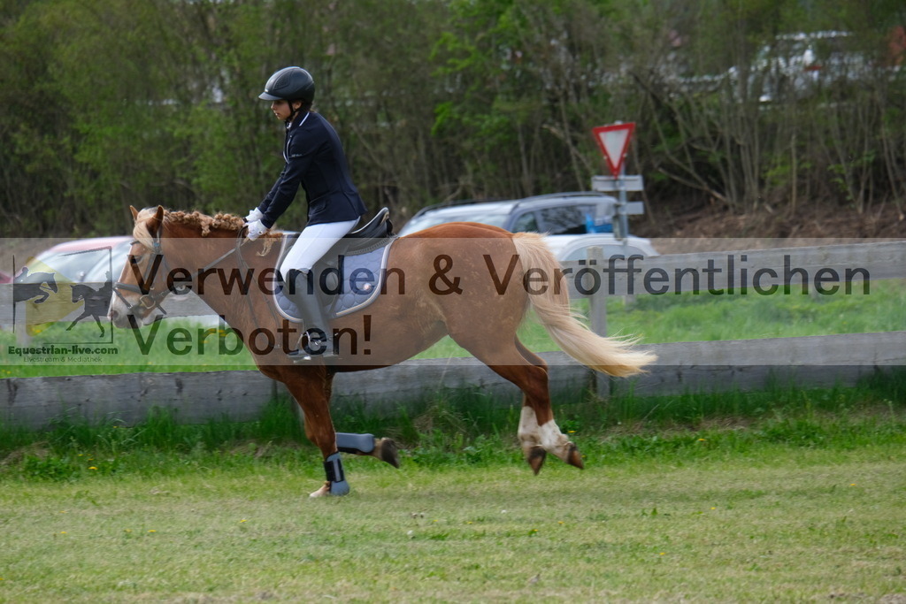 DSCF3926 | equestrian-live-com