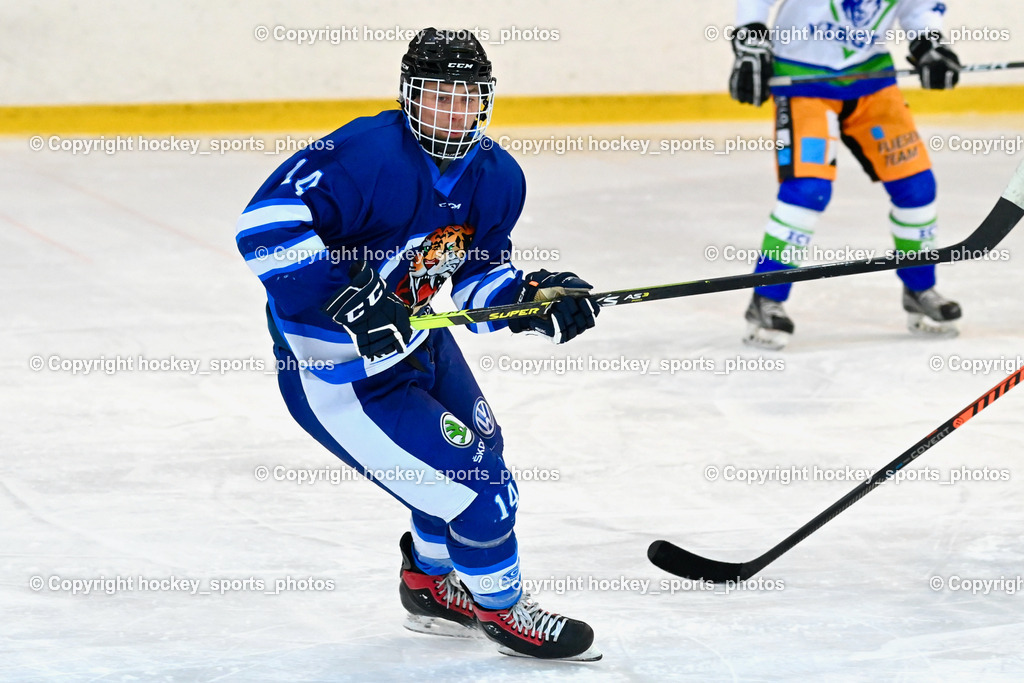  EC Tigers Paternion vs. EC Virgen 8.1.2022 | #14 Tschurnig Daniel