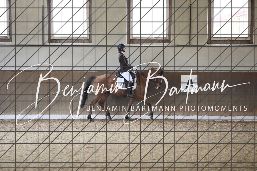 AZ2A0965 | Benjamin Bartmann Photomoments