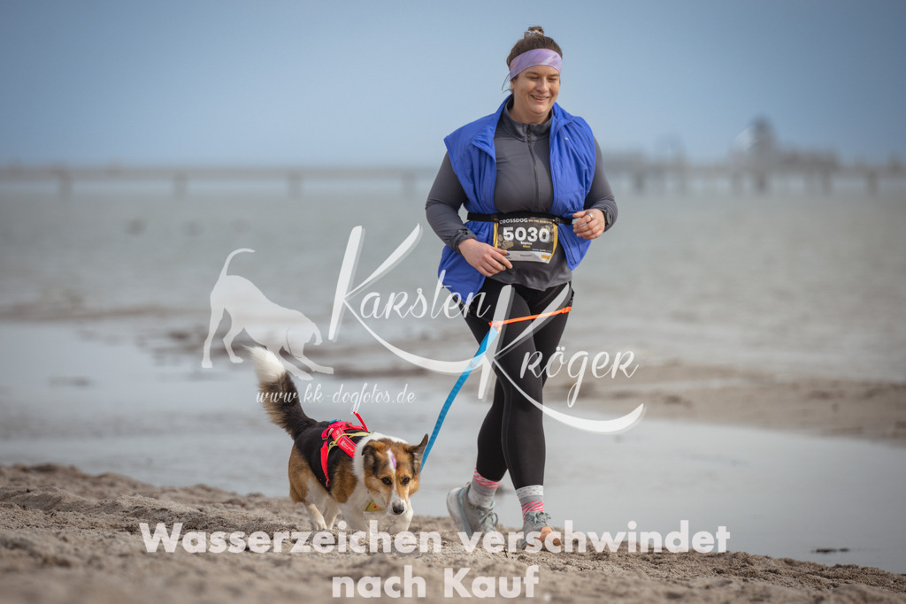 1218_ZZ96138 | kk-dogfotos