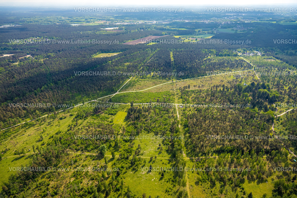 Augustdorf240505531Senne | Luftbild, Waldweiden Wistinghauser Senne Naturschutzgebiet, Heidelandschaft, Wald und Wiesen und Felder, Währentrup, Oerlinghausen, Ostwestfalen, Nordrhein-Westfalen, Deutschland