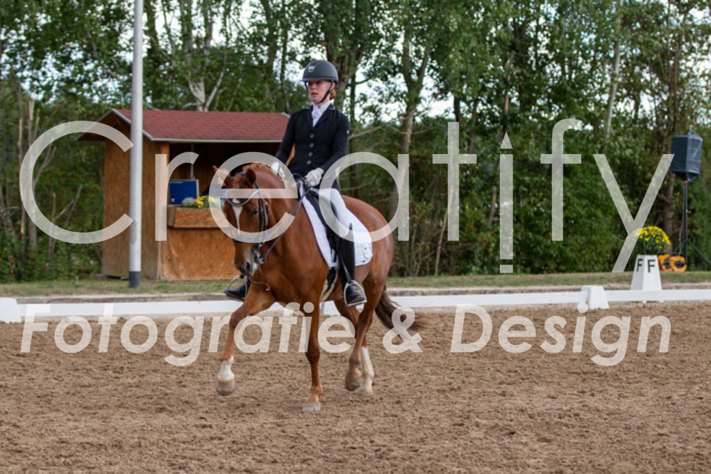 IMG_5565 | Creatify Fotografie