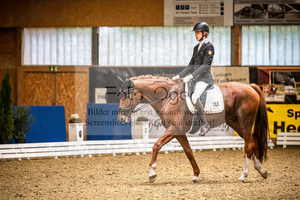 DOS_0968 | Entdecke hochwertige Reitturnierfotos von Foto Oger. Professionell, emotional und authentisch – jetzt Lieblingsmomente im Shop bestellen.Deutschlandweite Turnierfotografie. - Realisiert mit Pictrs.com