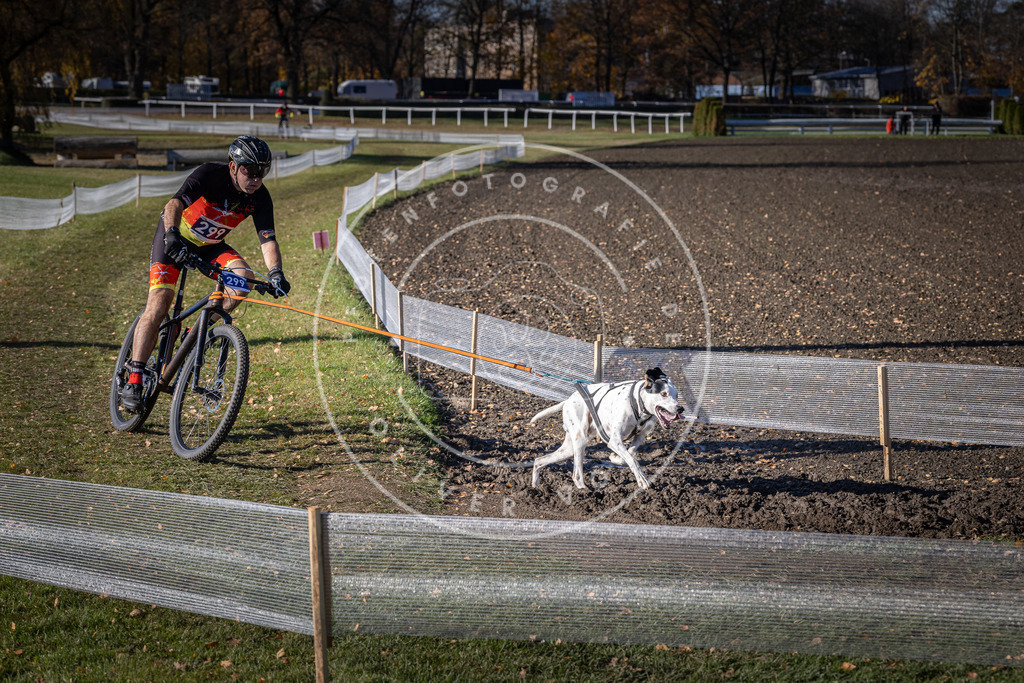 CaniXpix_DV3A6039 | Hundefotografie, Tierfotograf, Pfotenfotografie, Fotoshooting Hund, Hunde Portrait, Hundesport, Hundeportraits, Heideshooting, Hunde, Sportfotograf, Hundefotograf, Turnierhundsport, THS,  - Realisiert mit Pictrs.com