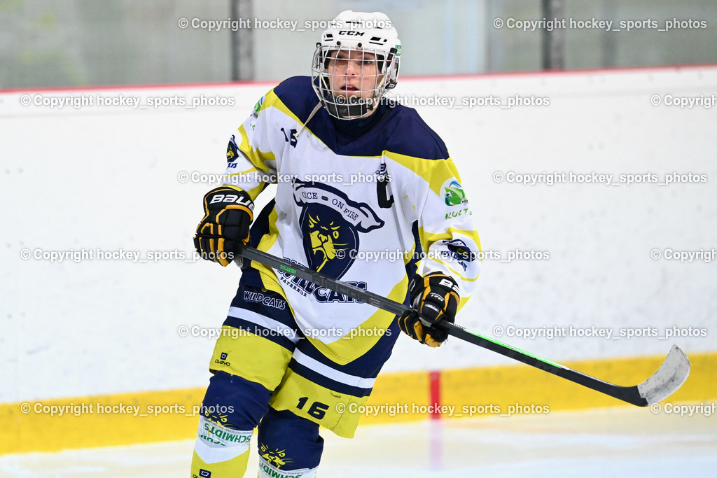 BST_6668 | hockey sports photos, Pressefotos, Sportfotos, hockey247, win 2day icehockeyleague, Handball Austria, Floorball Austria, ÖVV, Kärntner Eishockeyverband, KEHV, KFV, Kärntner Fussballverband, Österreichischer Volleyballverband, Alps Hockey League, ÖFB, 