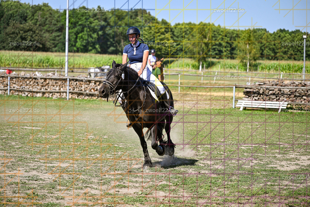 30 Jahre RFV Pulsnitz e.V., Pulsnitz am 09.08.2026 | Zur 28. breitensportlichen Veranstaltung des RFV Pulsnitz e.V. fanden verschiedene Wettbewerbe in nahezu allen Disziplinen des Pferdesport statt. - 06 Standard-Spring-Wettbewerb - Realisiert mit Pictrs.com