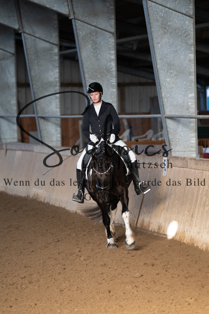 A7V05682 | Pferdefotograf