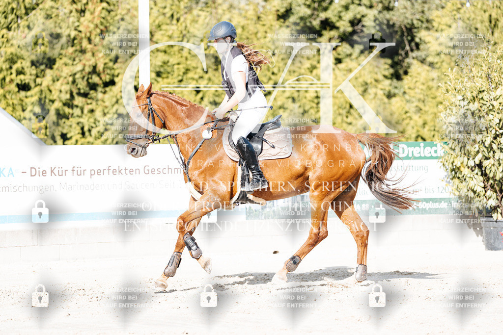 CK909340 | Turnierfotografie Pferdefotografie Trier Rheinland-Pfalz Pferdesport Reitsport Tierfotografie Sportfotografie Pferdevideo Pferdevideografie Equestrianvideography equestrianphotography  - Realisiert mit Pictrs.com
