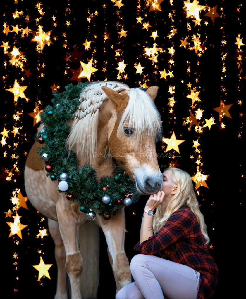 Schwarzer Hintergrund  | Schwarzer Hintergrund mit Hund und Pferd 