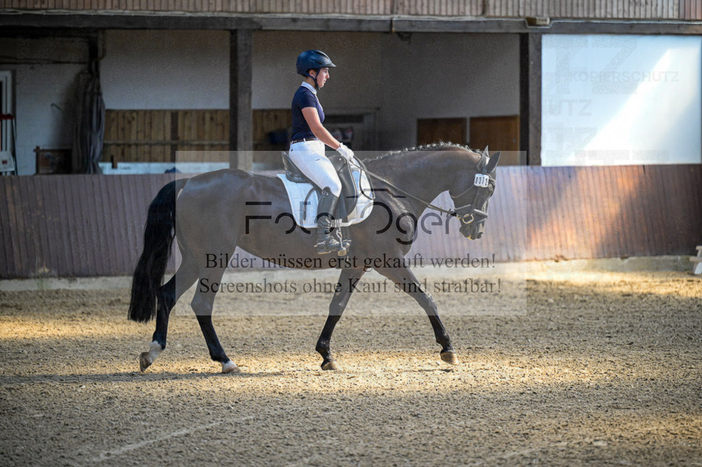 Reitturnier Voxtrup | Entdecke hochwertige Reitturnierfotos von Foto Oger. Professionell, emotional und authentisch – jetzt Lieblingsmomente im Shop bestellen.Deutschlandweite Turnierfotografie. - Realisiert mit Pictrs.com