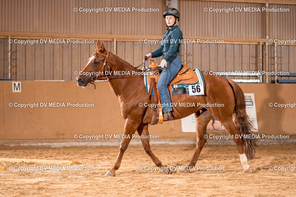 Losheim Tag 2-37 | dv-media-shop - Realisiert mit Pictrs.com