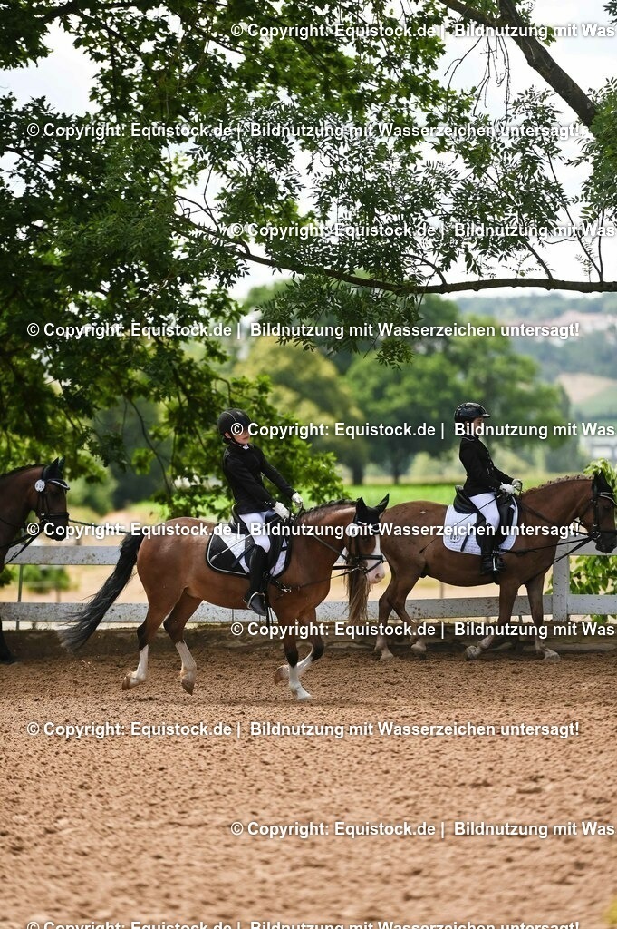 20230716_10-3_Reiter-WB Schritt - Trab - Galopp_0150 | equistock