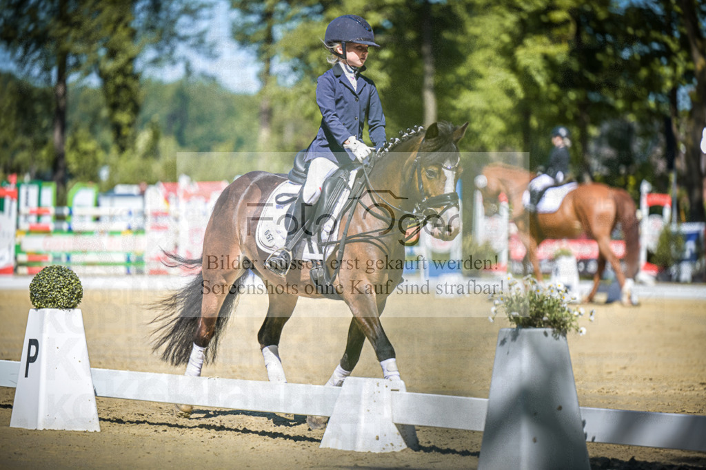 DOS_8248 | Entdecke hochwertige Reitturnierfotos von Foto Oger. Professionell, emotional und authentisch – jetzt Lieblingsmomente im Shop bestellen.Deutschlandweite Turnierfotografie. - Realisiert mit Pictrs.com