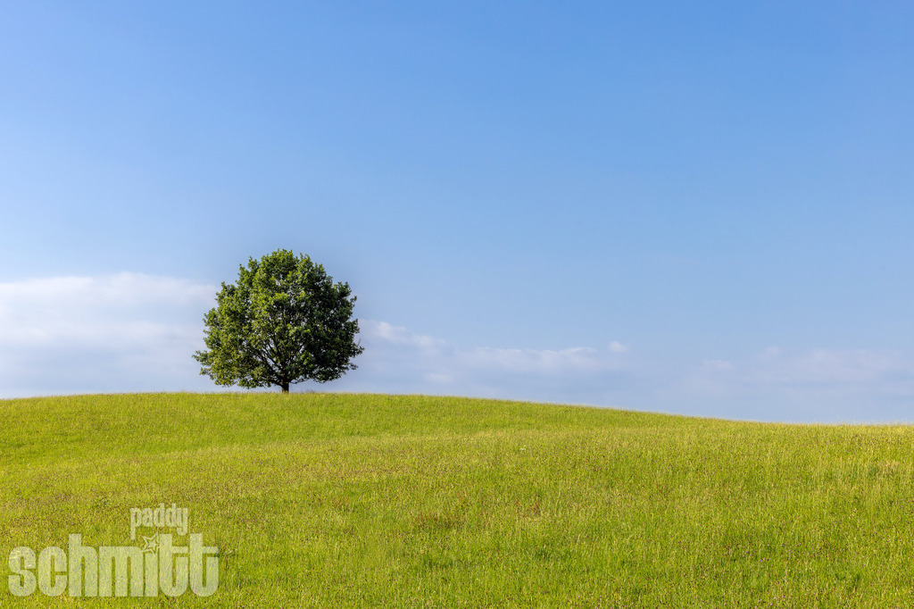 PS-Natur-2026-126 | Entdecke die größte Bildgalerie der Region mit Fotografien aus dem Allgäu, der Bodenseeregion, Oberschwaben, dem Donautal und der Schwäbischen Alb. Landschaften, Luftaufnahmen und Reisefotografie als Wandbild und Fotokunst. - Realisiert mit Pictrs.com
