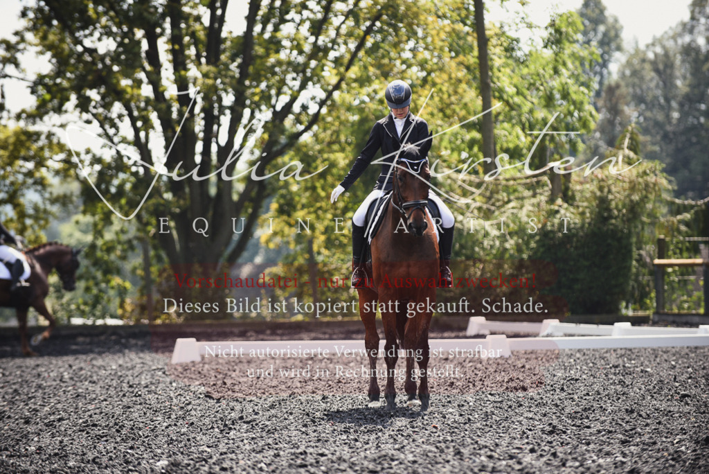 DSC_4155 | Pferde- und Turnierfotografie in Westsachsen. Pferdeportraits, Auftragszeichnungen und intuitive Kunst.