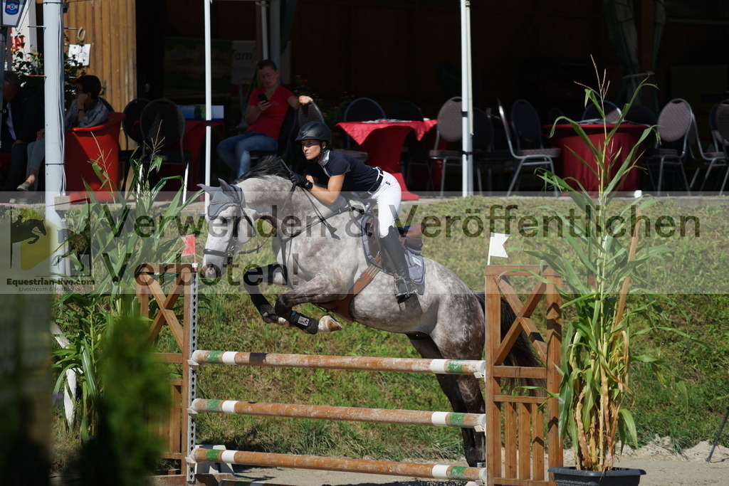DSC02411 | equestrian-live-com