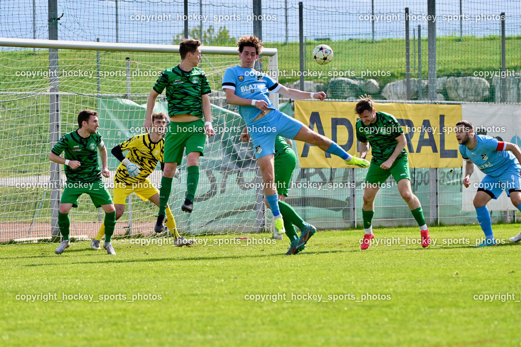 SC Landskron vs. SVG Bleiburg | #5 Lukas Anton Kofler SC Landskron, #17 Julian Brandstätter SC Landskron, #22 Alexander Jürgen Pöschl SC Landskron, #4 Raphael Huber SVG Bleiburg, #15 Ingo Mailänder SC Landskron, #9 Adnan Besic SVG Bleiburg, SC Landskron vs. SVG Bleiburg, SC Landskron vs. SVG Bleiburg am 28.04.2024 in Villach (Sportzentrum Landskron), Austria, (Photo by Bernd Stefan)