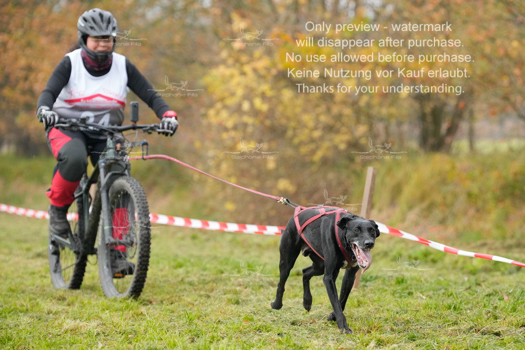 Visbeck_Sa_Bike-293 | stephaniefillaphotographie - Realisiert mit Pictrs.com