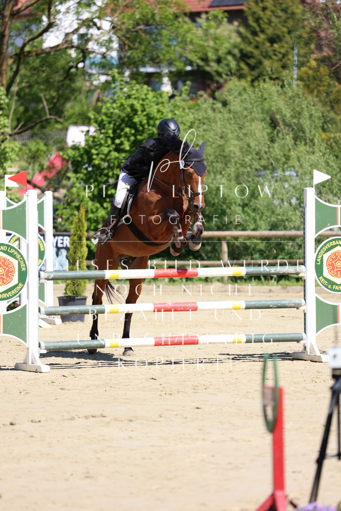 IMGS7242 | pl-fotografie