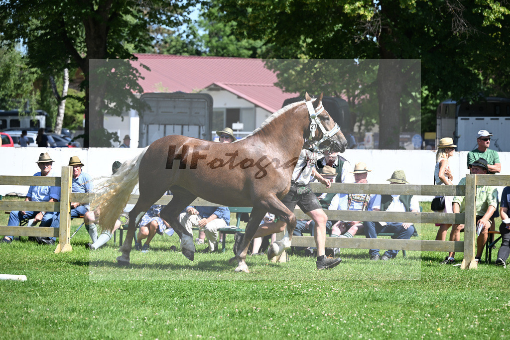 Kat-Nr. 21 Pocahontas v. Sir Fuerstenberg_Heuchele_18250359 | hf-fotografie - Realizzato con Pictrs.com