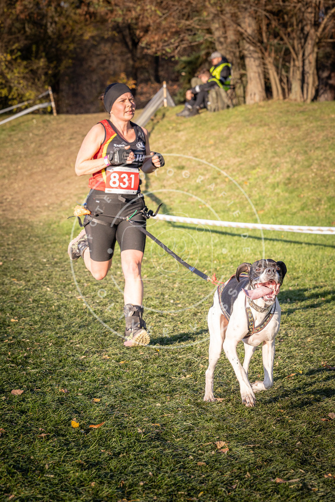 CaniXpix_0L8A0739 | Hundefotografie, Tierfotograf, Pfotenfotografie, Fotoshooting Hund, Hunde Portrait, Hundesport, Hundeportraits, Heideshooting, Hunde, Sportfotograf, Hundefotograf, Turnierhundsport, THS,  - Realisiert mit Pictrs.com