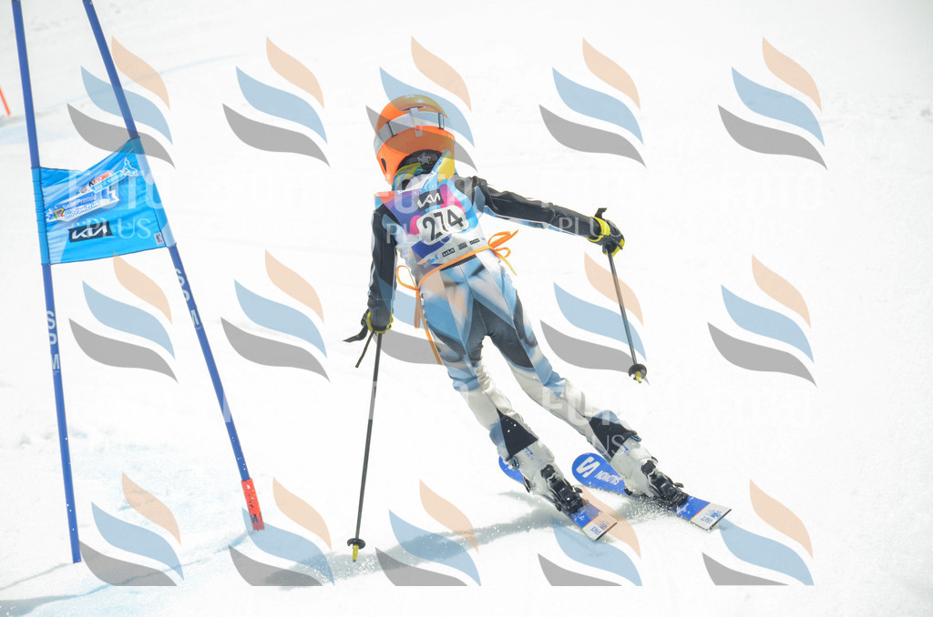 _ELE7853 | holidayphoto