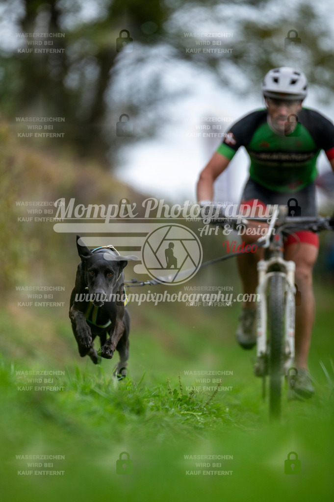 TSB_2023_E8_Bike-3 | PayLife