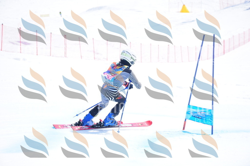 DSC_7128 | holidayphoto