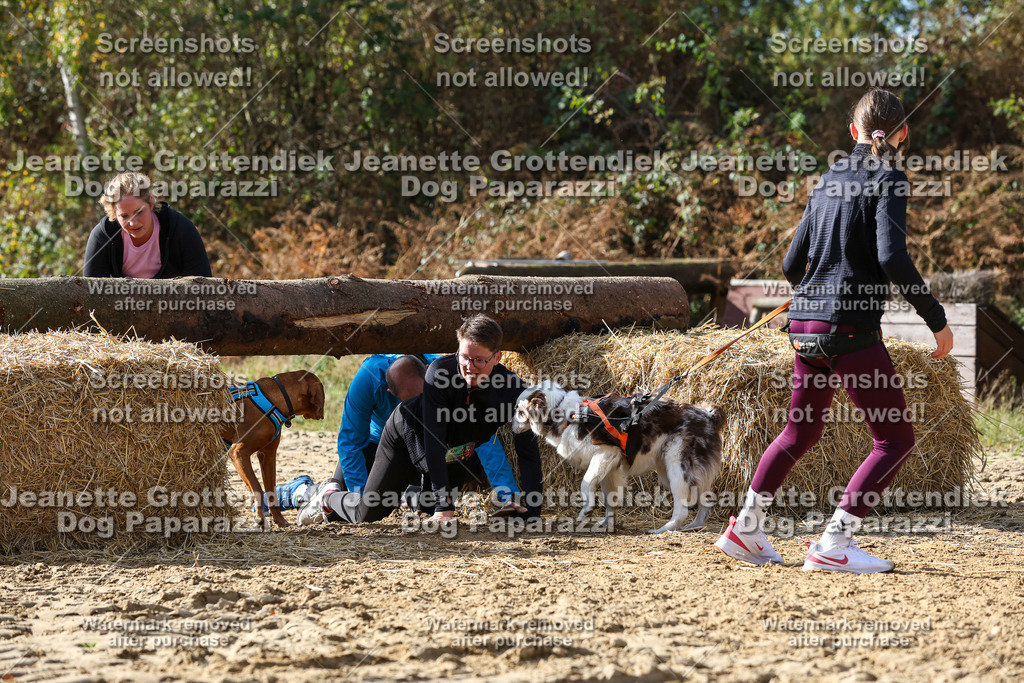 Dog Paparazzi - Strongdog 10-25-5645 | Dog Paparazzi Jeanette Grottendiek Fotografie & Videografie - Realisiert mit Pictrs.com