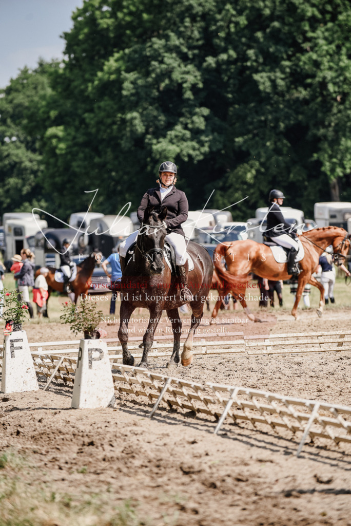 DSC_0200 | Pferde- und Turnierfotografie in Westsachsen. Pferdeportraits, Auftragszeichnungen und intuitive Kunst.