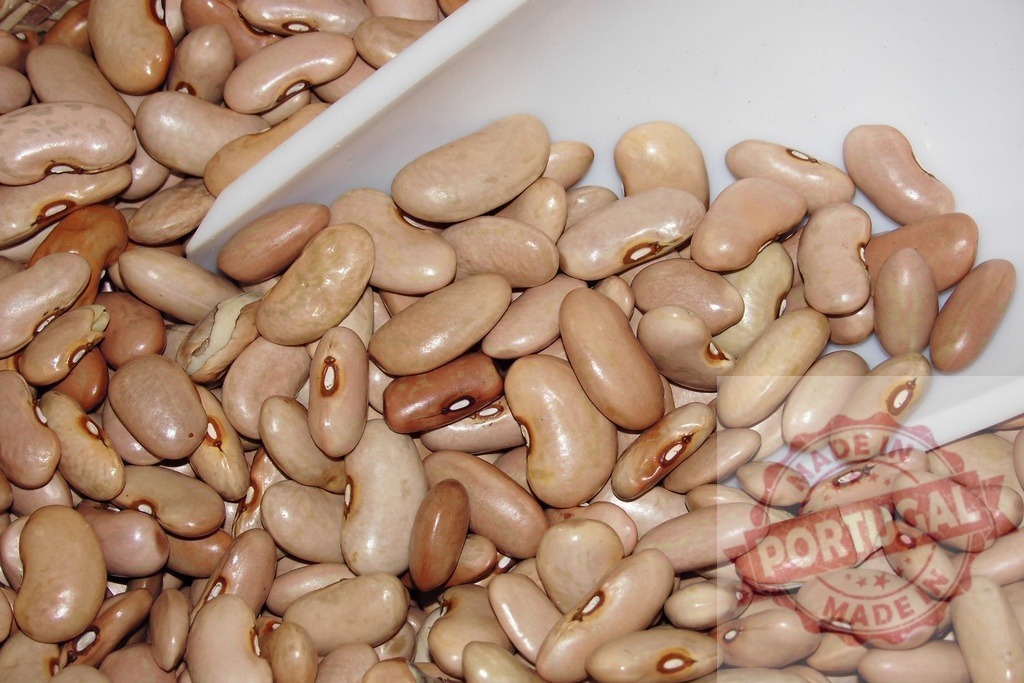 Dried pinto beans with white scoop | Dried pinto beans filling a white scoop, suitable for healthy vegan eating - Realized with Pictrs.com