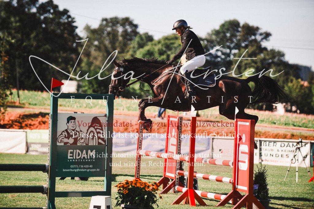 DSC_2262 | Pferde- und Turnierfotografie in Westsachsen. Pferdeportraits, Auftragszeichnungen und intuitive Kunst.