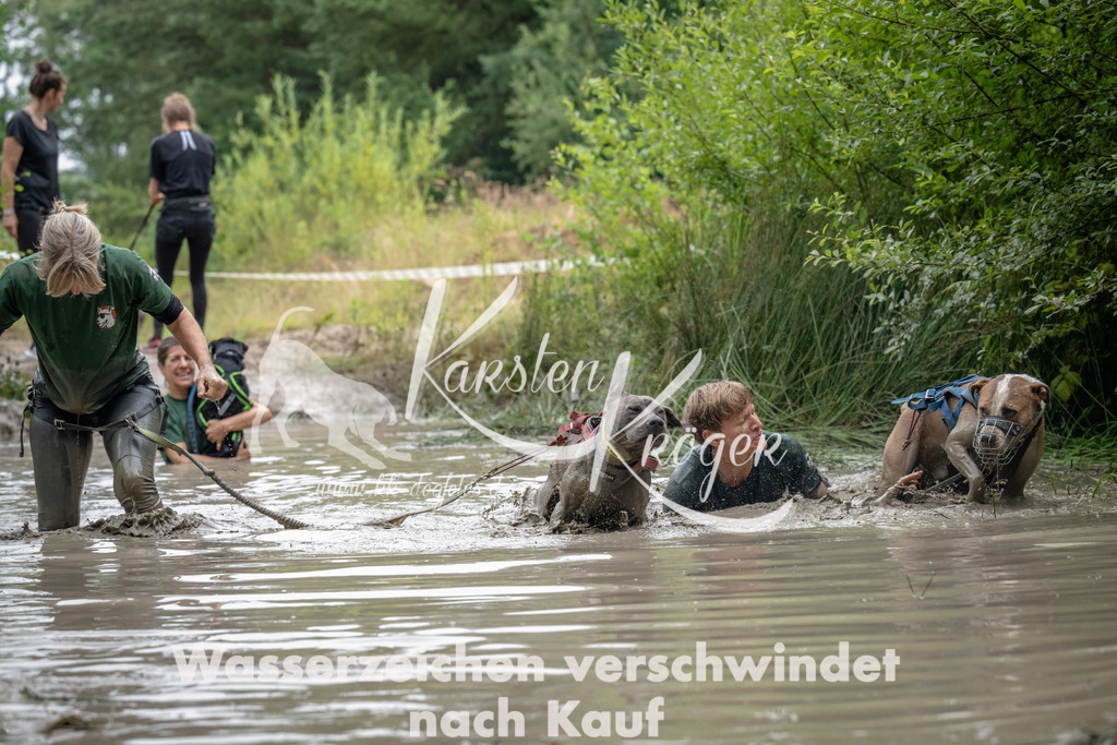 1346_ZZ92560 | kk-dogfotos