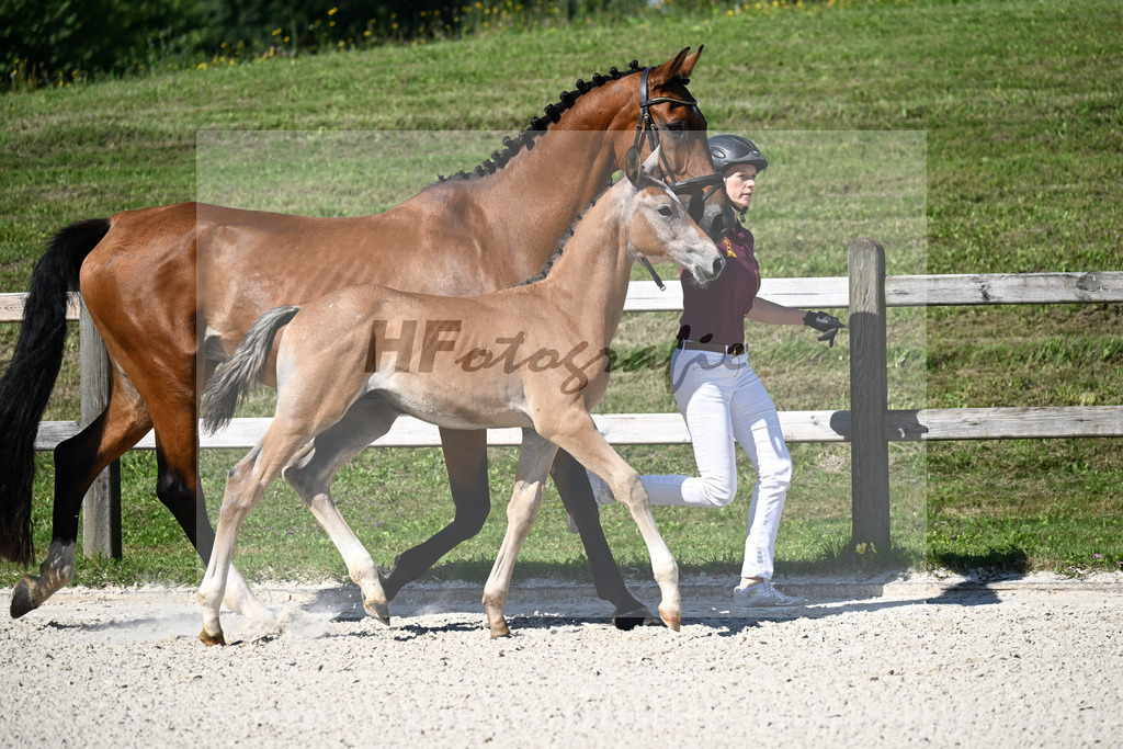Kat-Nr. 5 Arezzo Man x Araconit_HF_Mayer_24250069 | hf-fotografie - Realisiert mit Pictrs.com