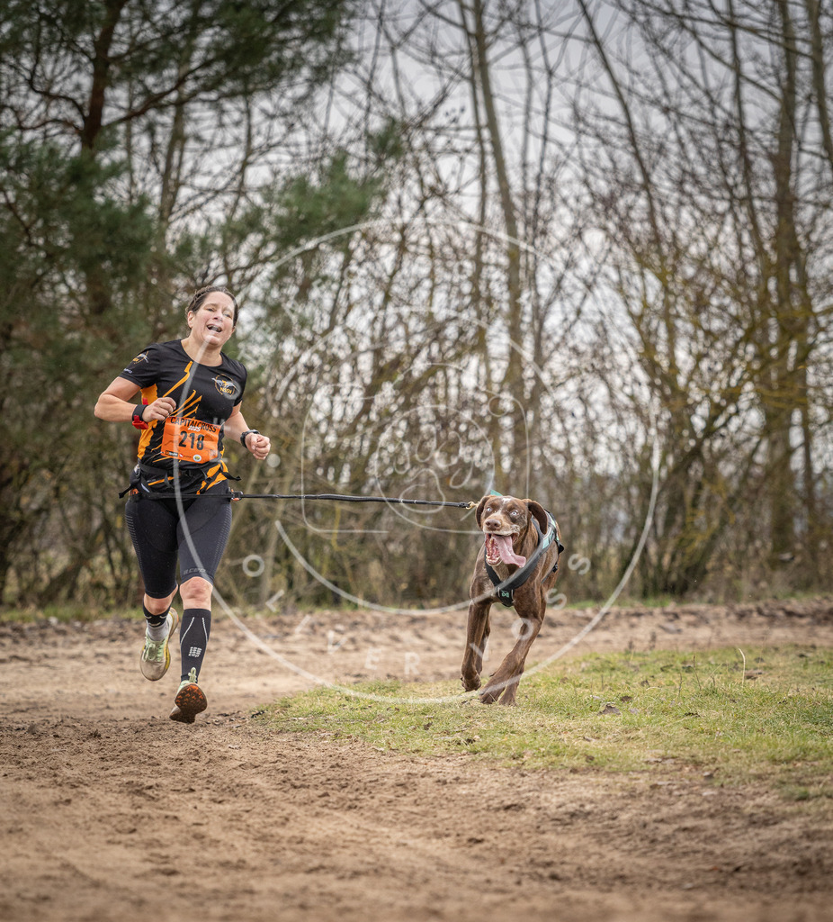 Pfotenfotografie_DV3A0570 | Hundefotografie, Tierfotograf, Pfotenfotografie, Fotoshooting Hund, Hunde Portrait, Hundesport, Hundeportraits, Heideshooting, Hunde, Sportfotograf, Hundefotograf, Turnierhundsport, THS,  - Realisiert mit Pictrs.com